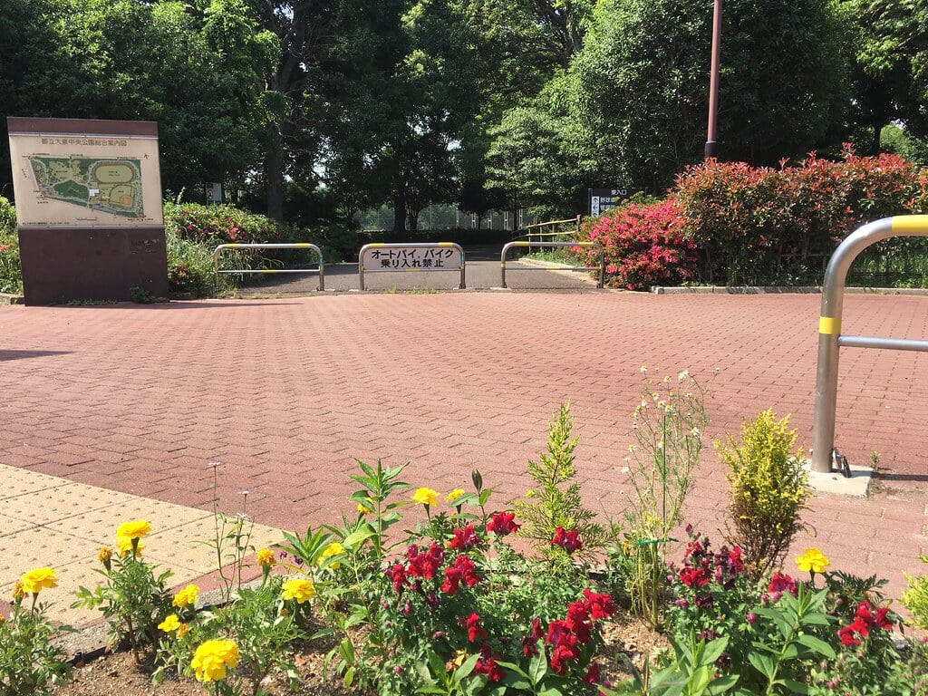 大泉中央公園の写真8