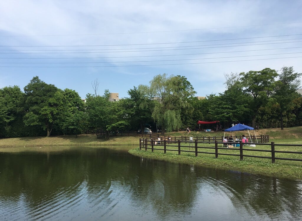 大泉中央公園の写真11
