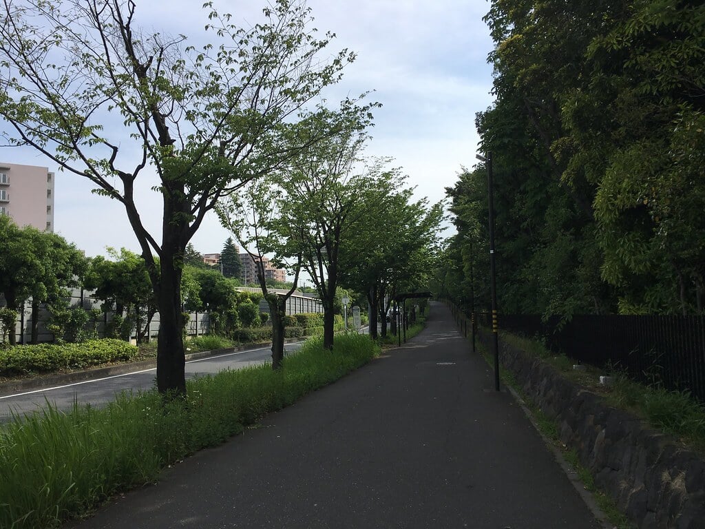 大泉中央公園の写真12
