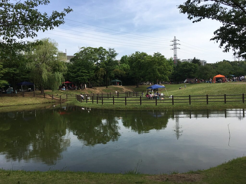 大泉中央公園の写真15