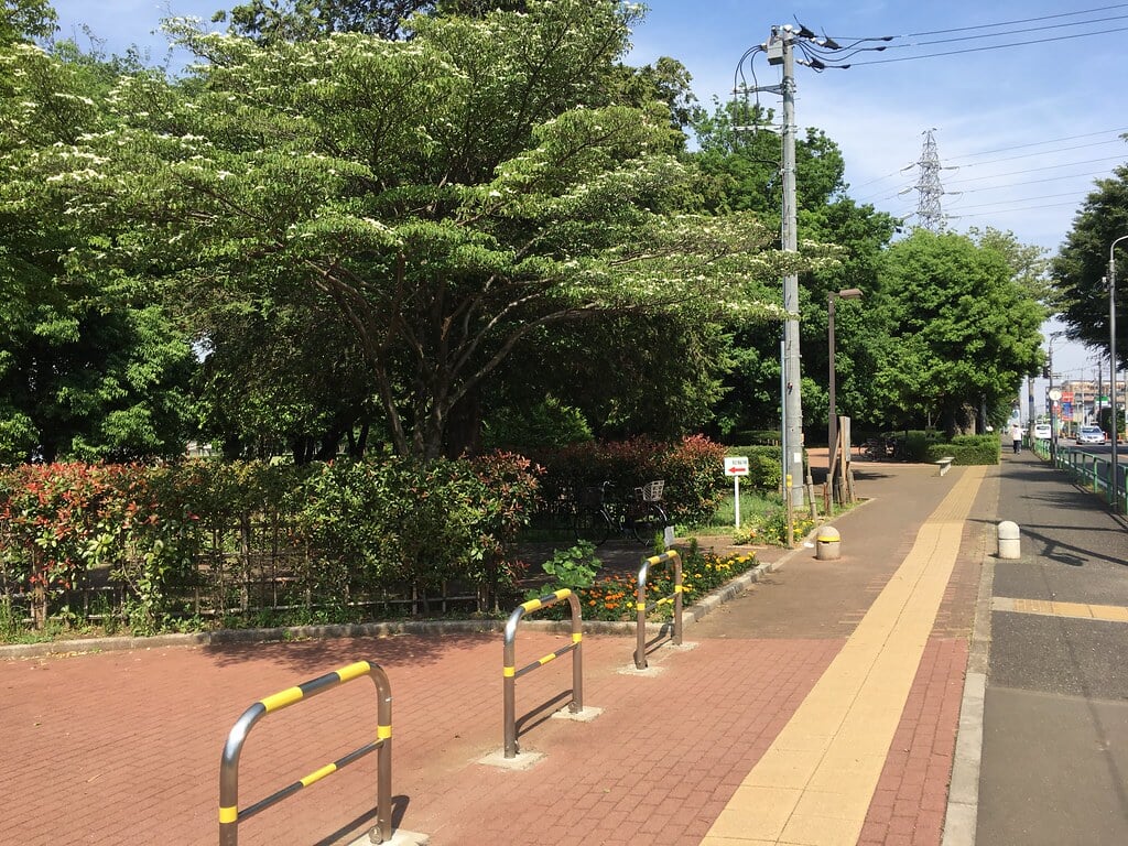 大泉中央公園の写真16