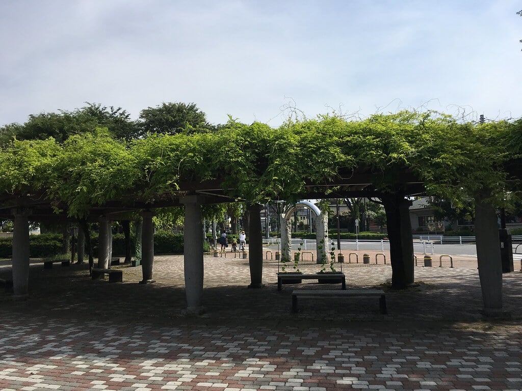 大泉中央公園の写真17