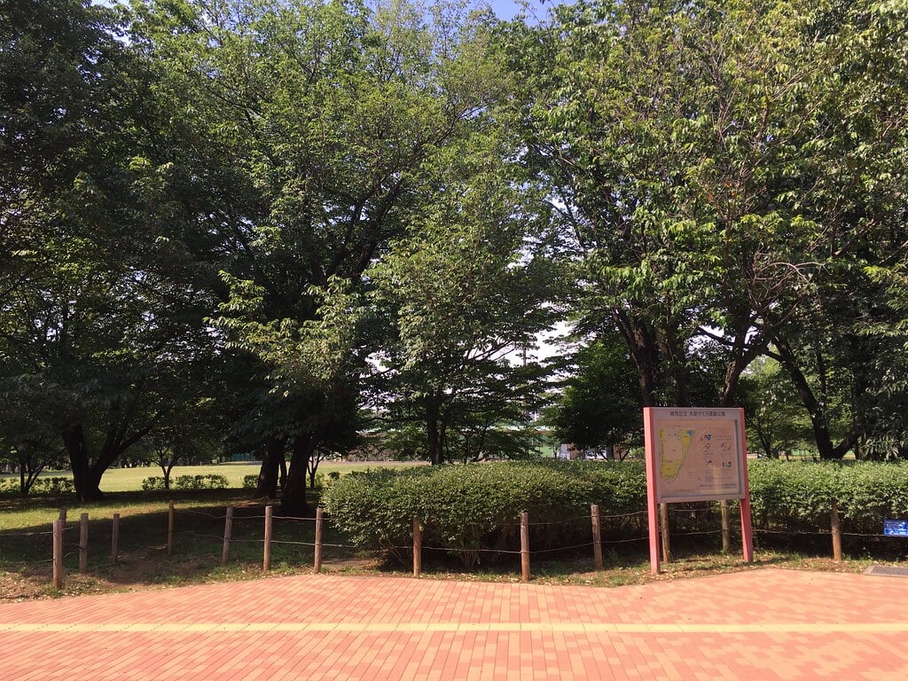 大泉中央公園の写真18