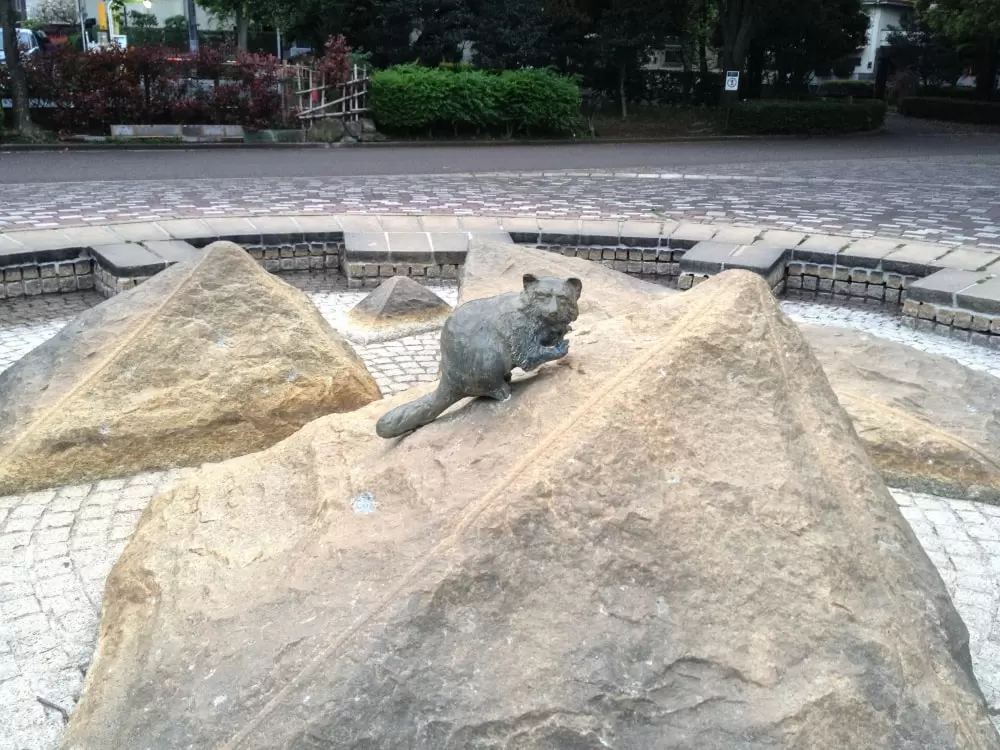 大泉中央公園の写真1