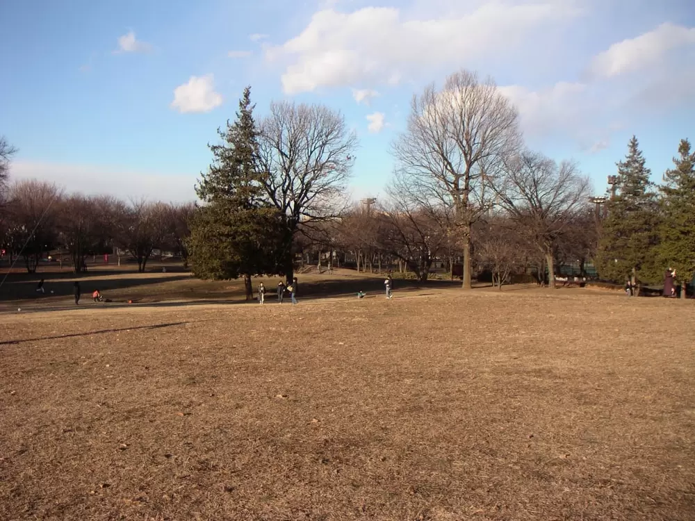 都立 府中の森公園の写真1