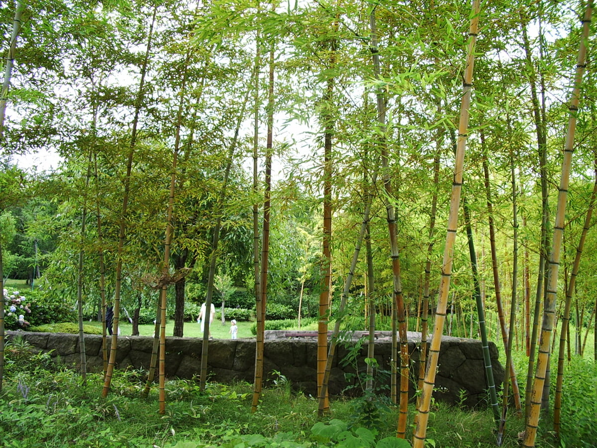 福島空港公園の写真3