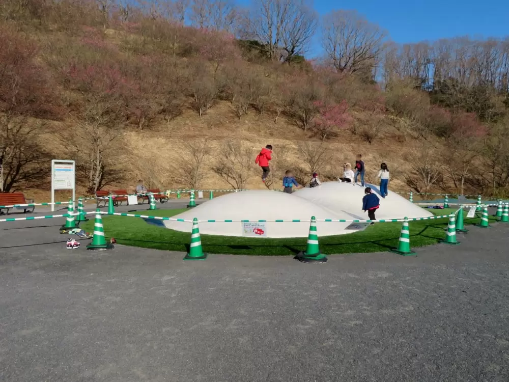 花フェスタ記念公園の写真1