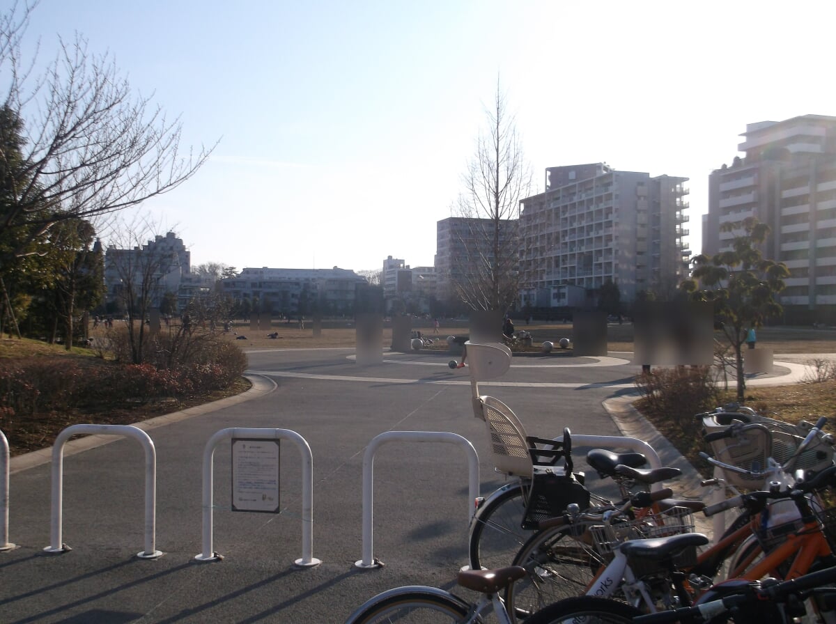 桃井原っぱ公園の写真2