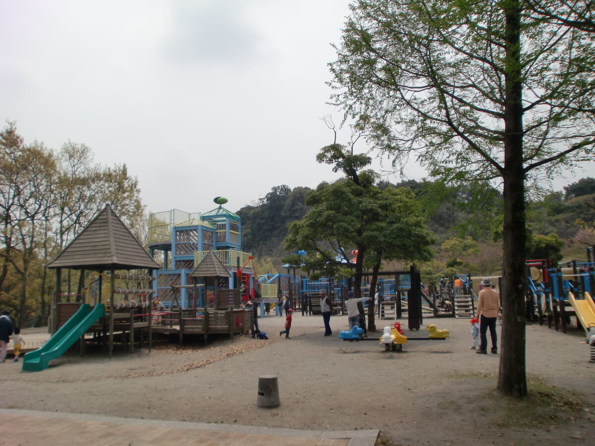 かごしま健康の森公園の写真1