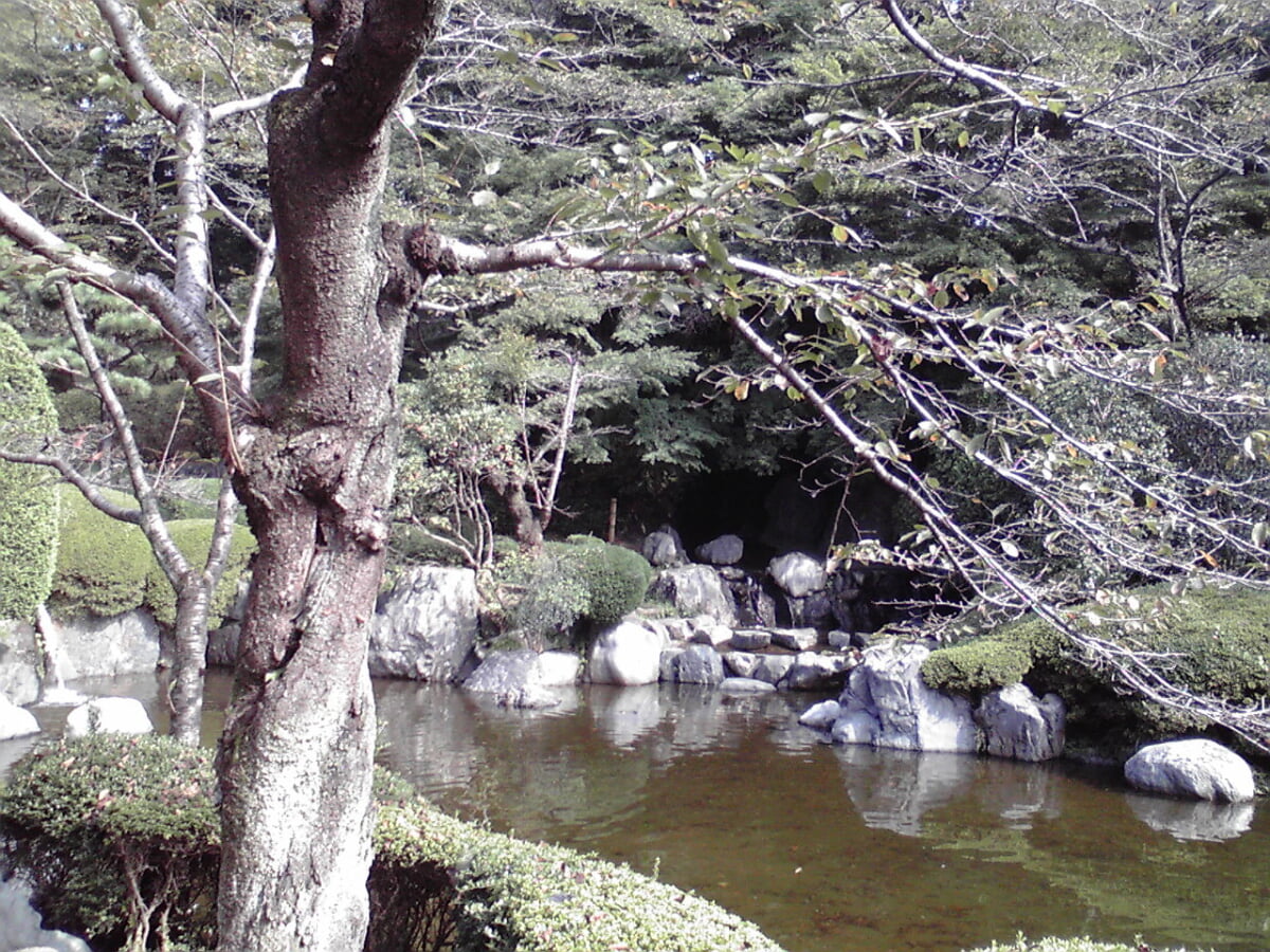 八幡山公園の写真2
