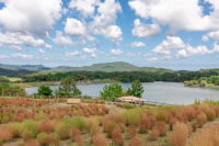 大分農業文化公園