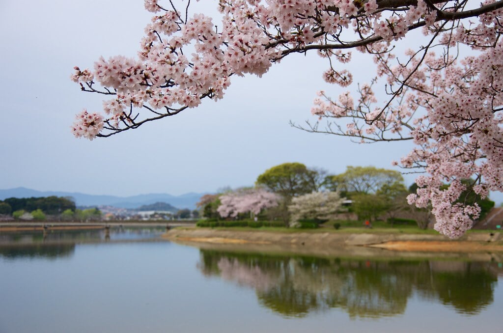 駕与丁公園の写真2