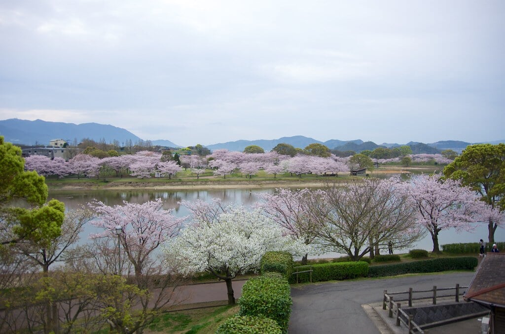 駕与丁公園の写真5
