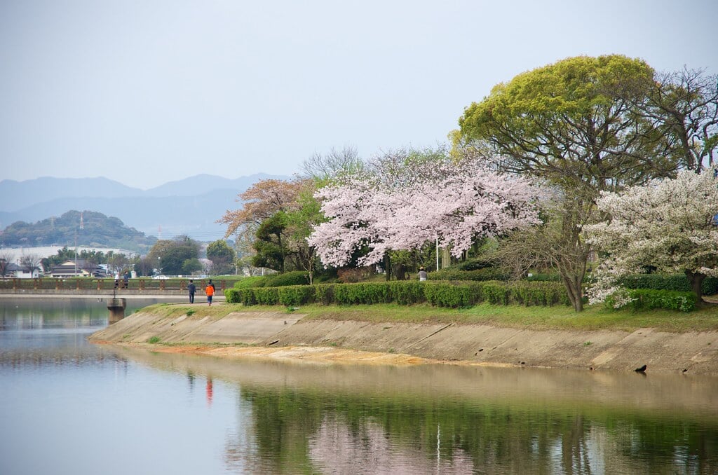 駕与丁公園の写真1