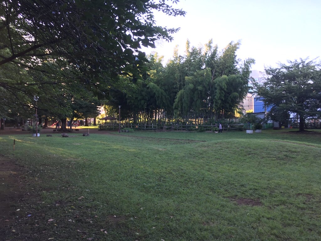 たけのこ公園の写真2