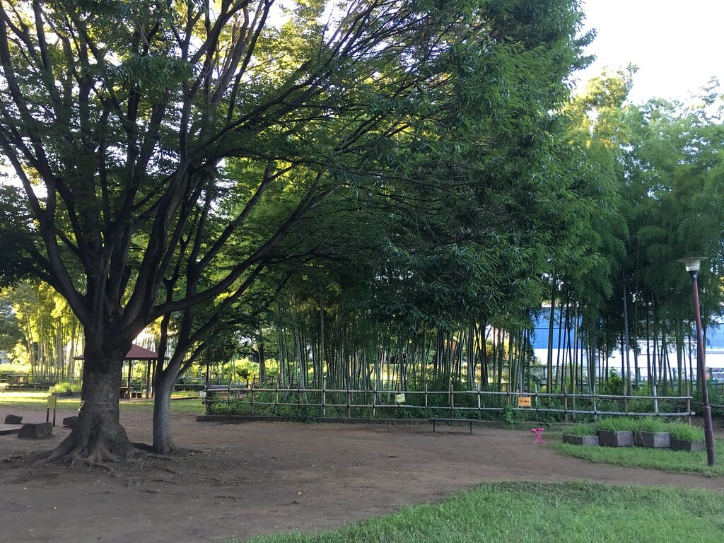 たけのこ公園の写真3