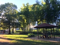 たけのこ公園