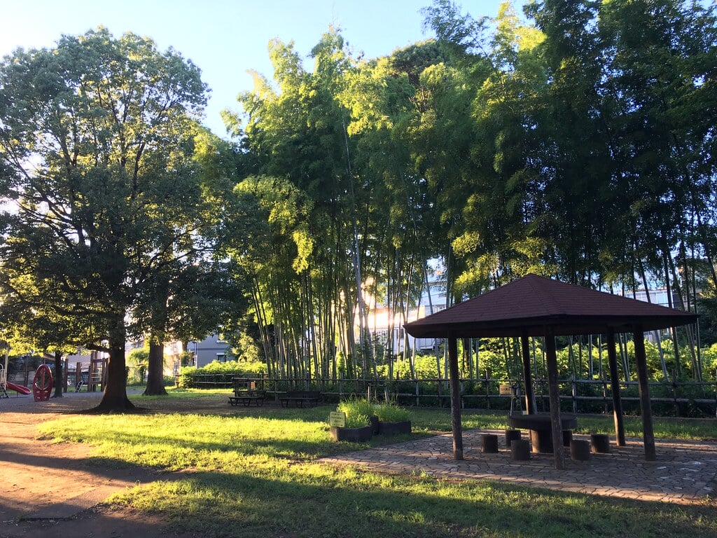 たけのこ公園の写真1