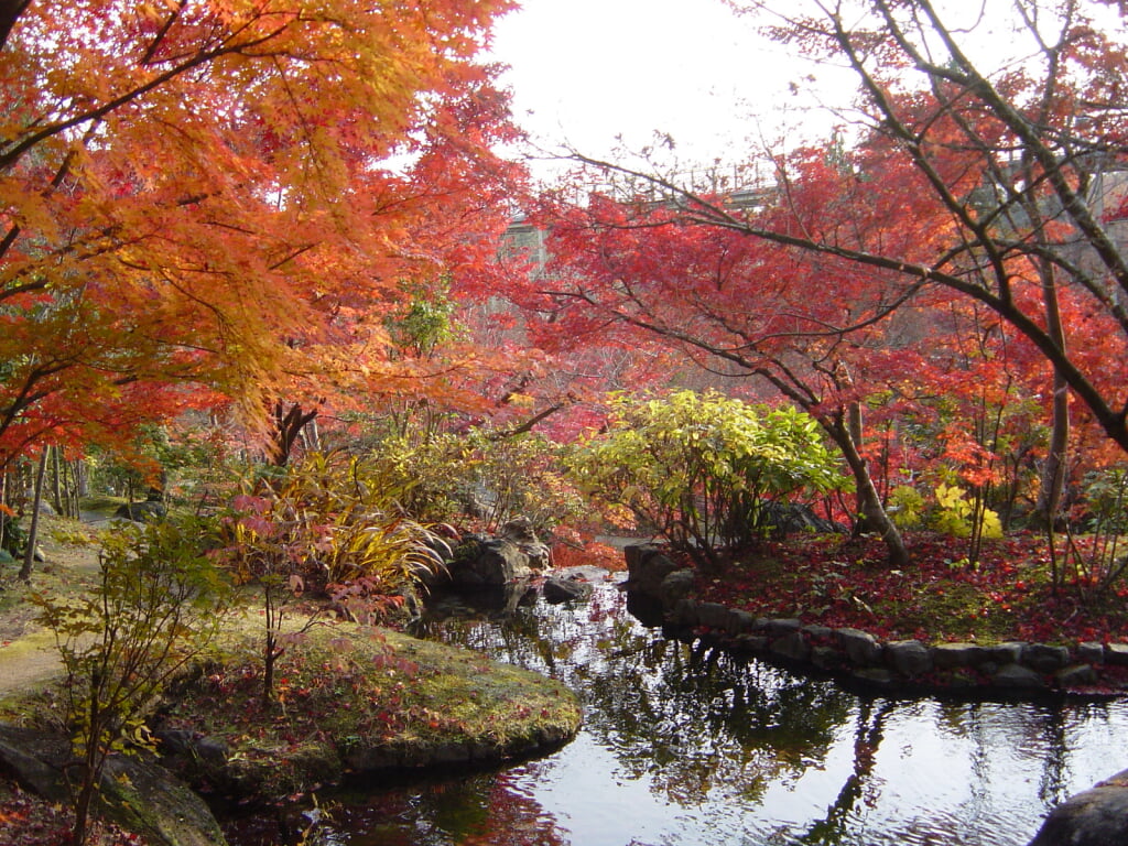 けいはんな記念公園の写真1
