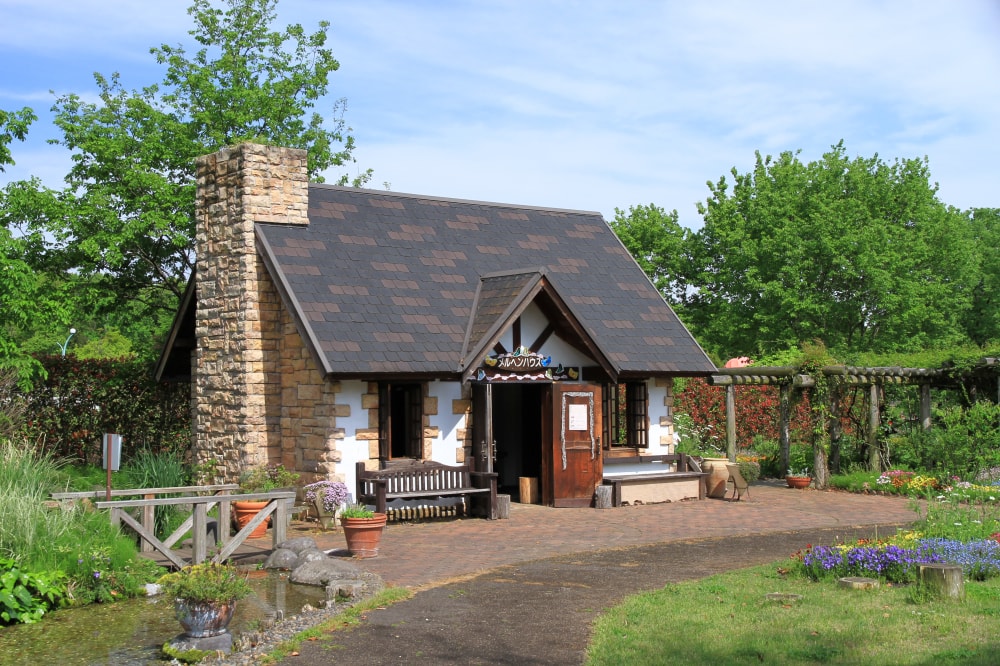 とちぎわんぱく公園の写真5