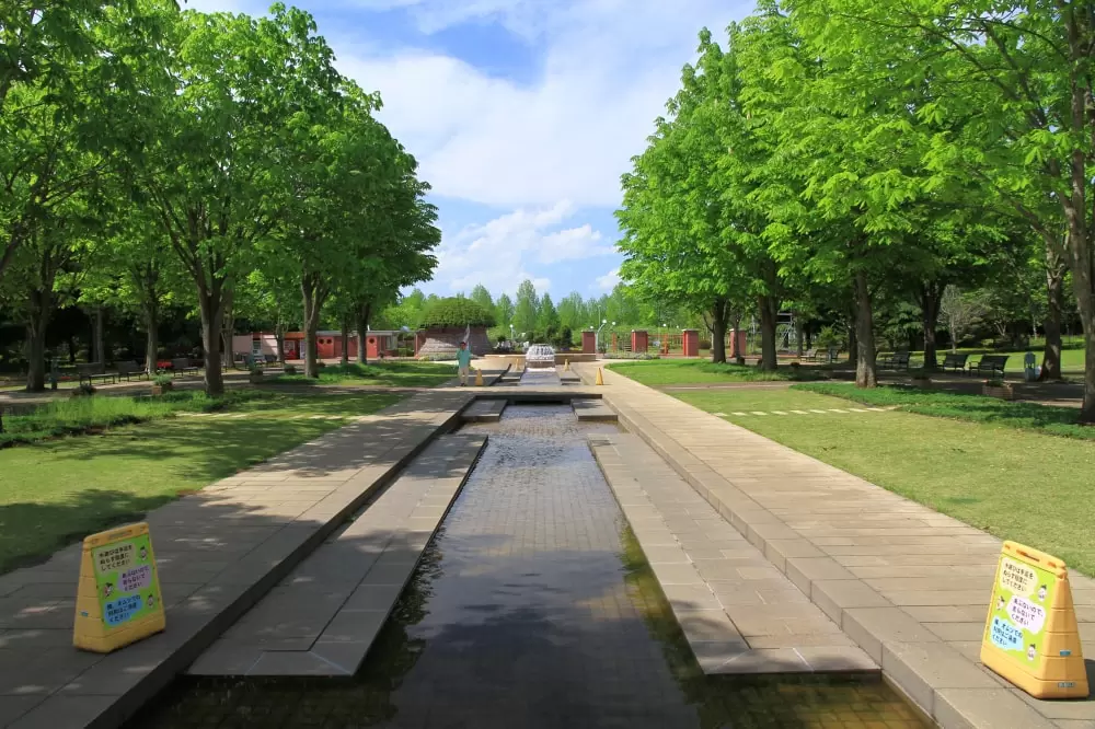 とちぎわんぱく公園の写真1