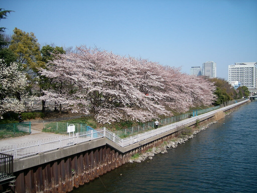 猿江恩賜公園の写真3