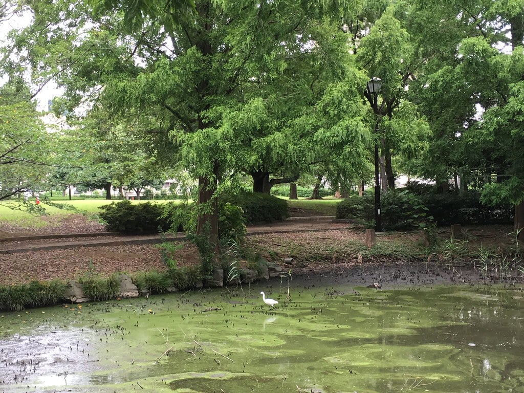 猿江恩賜公園の写真4