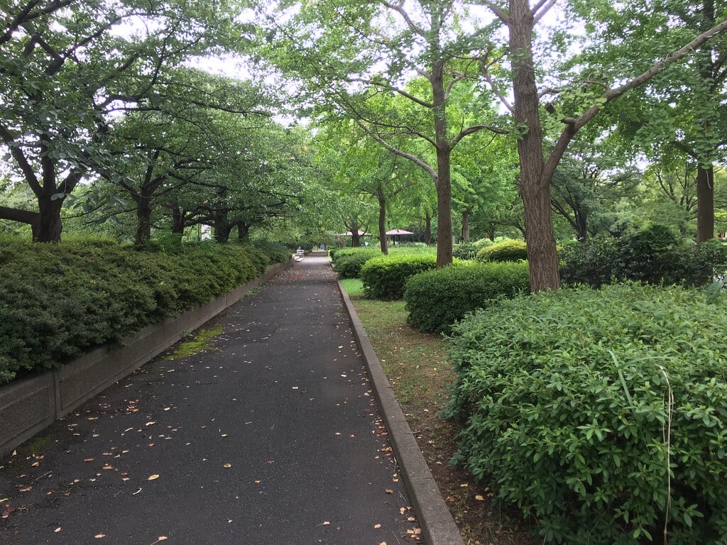 猿江恩賜公園の写真5