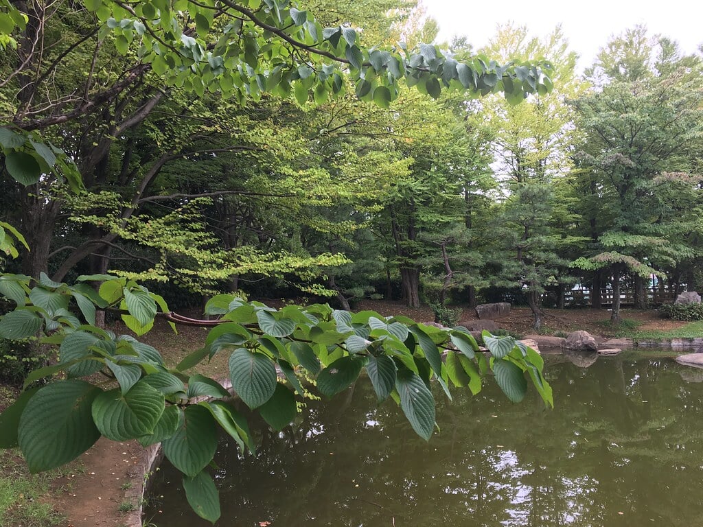 猿江恩賜公園の写真7