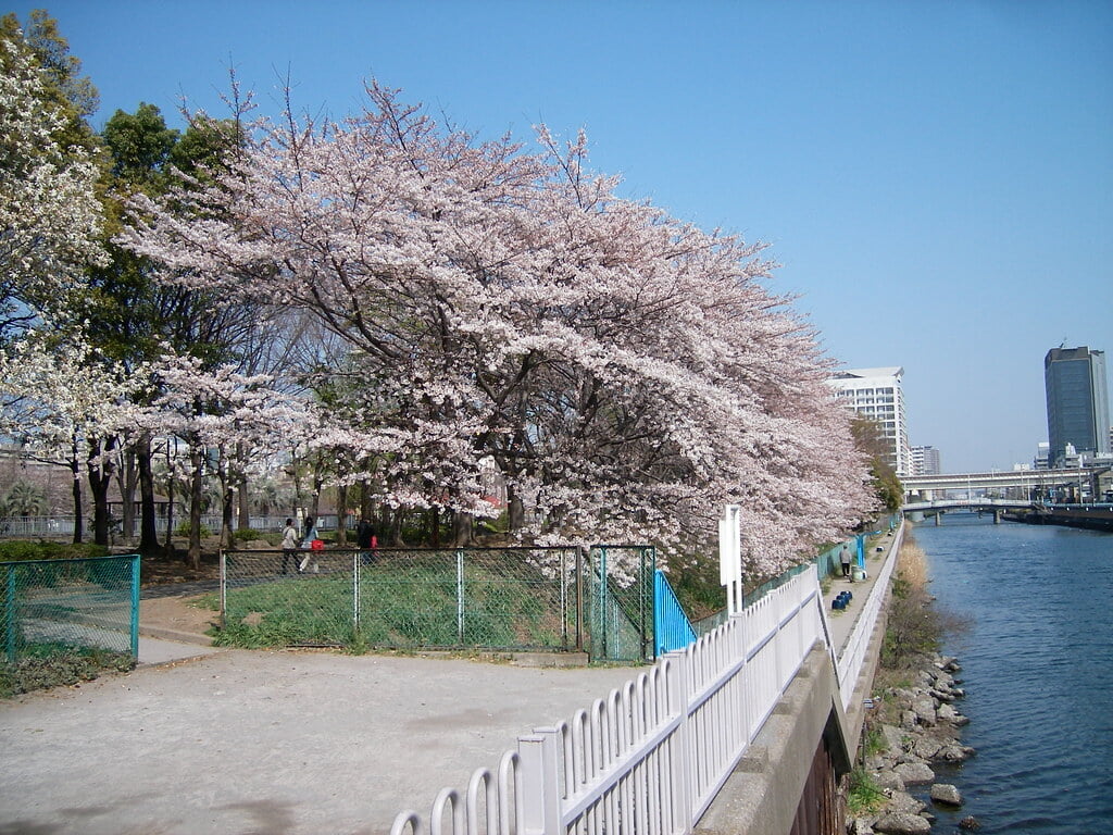 猿江恩賜公園の写真10