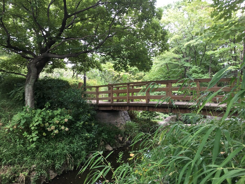 猿江恩賜公園の写真11