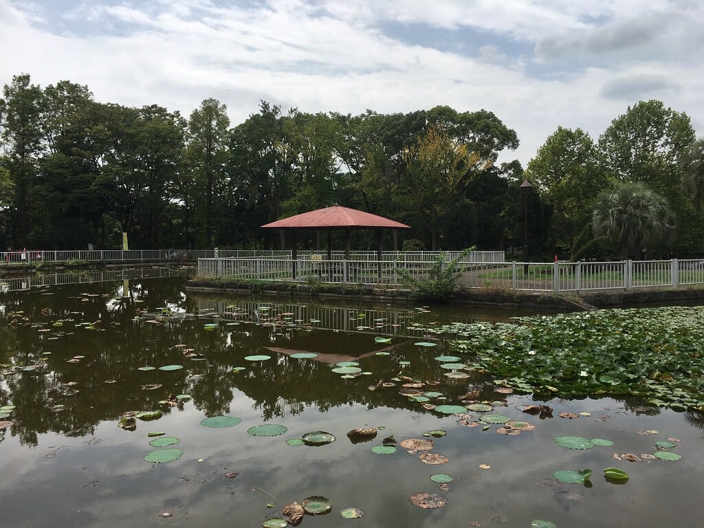 猿江恩賜公園の写真14