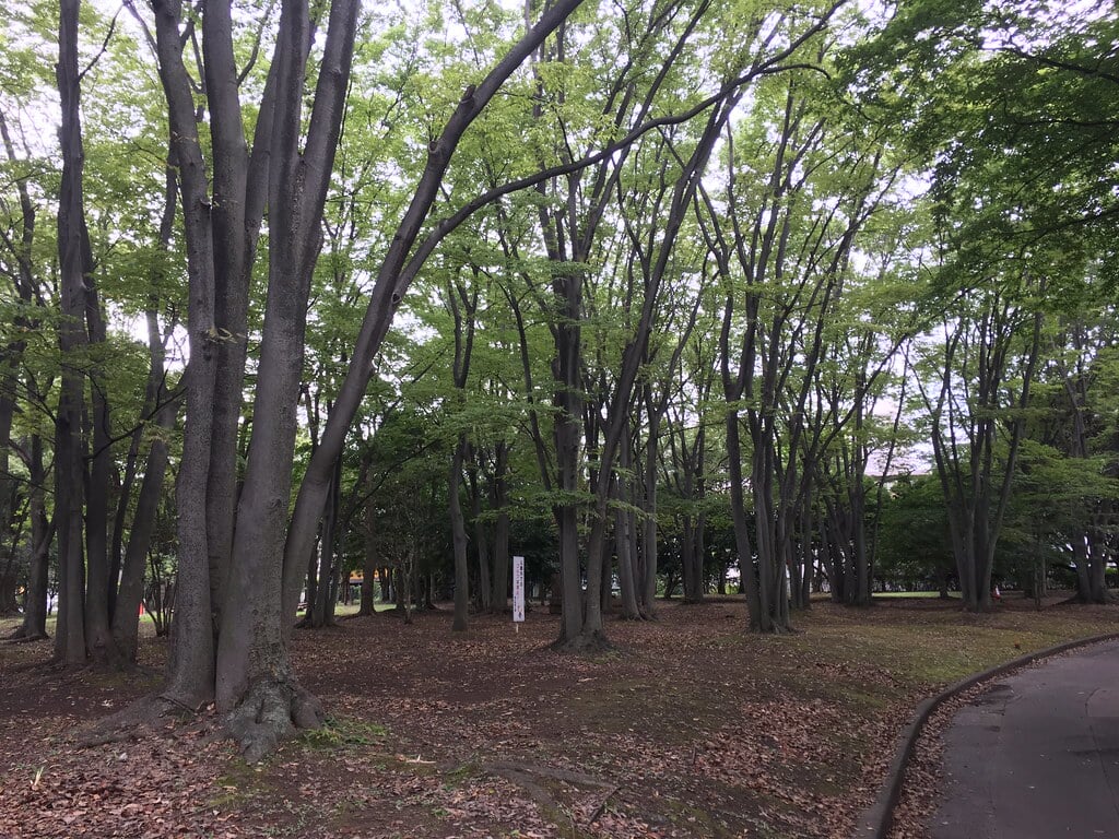 猿江恩賜公園の写真17