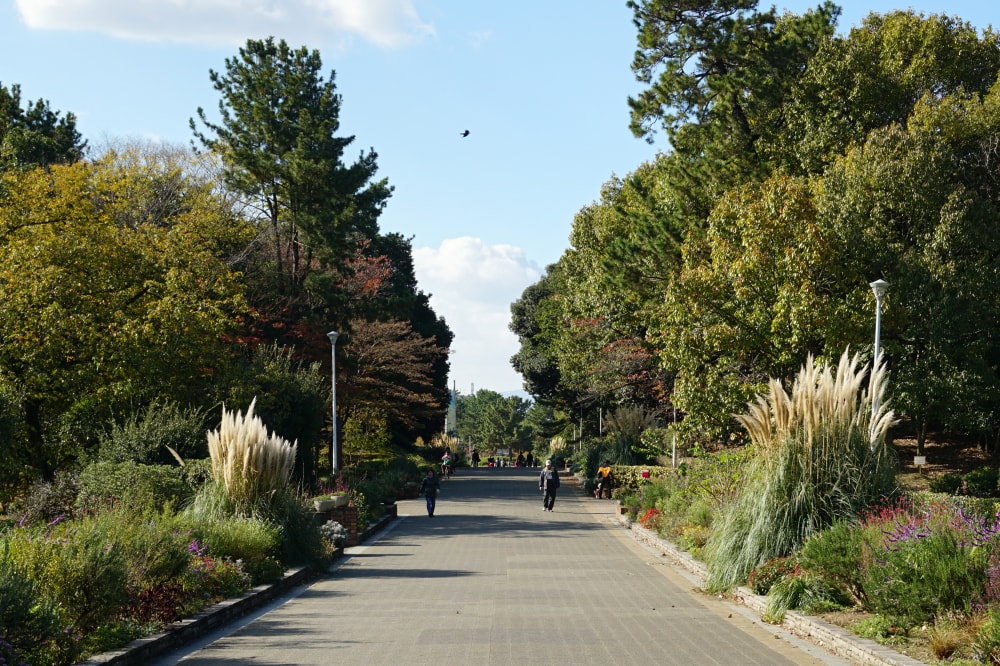 服部緑地の写真3