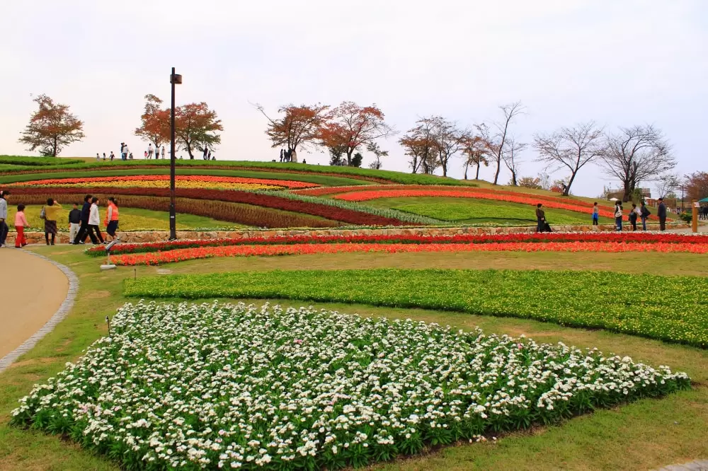 馬見丘陵公園の写真1