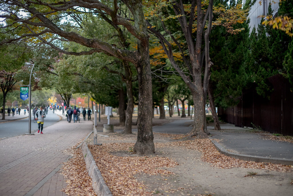 長居公園の写真1