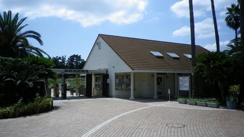 谷津バラ園の写真6