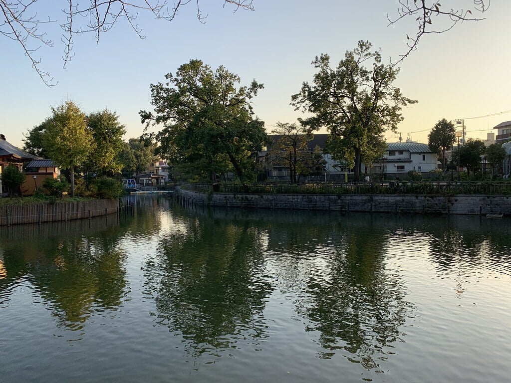 碑文谷公園の写真2