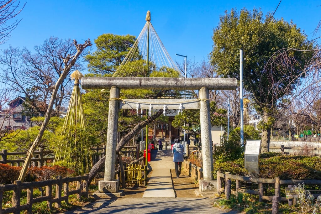 碑文谷公園の写真3