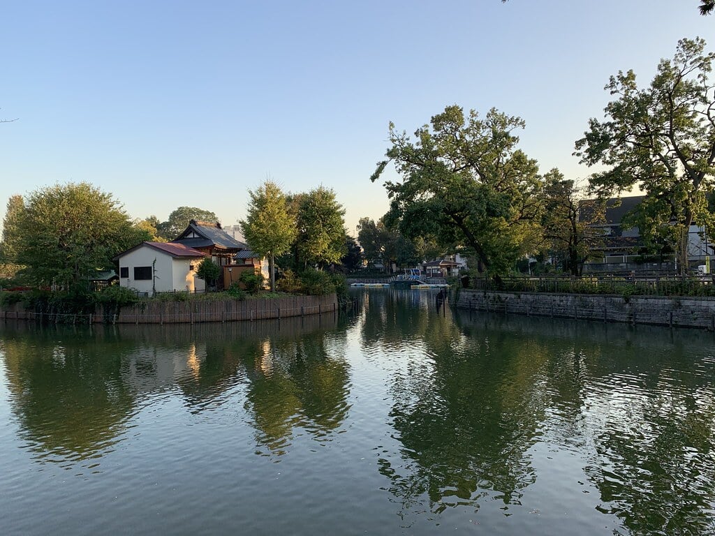 碑文谷公園の写真5