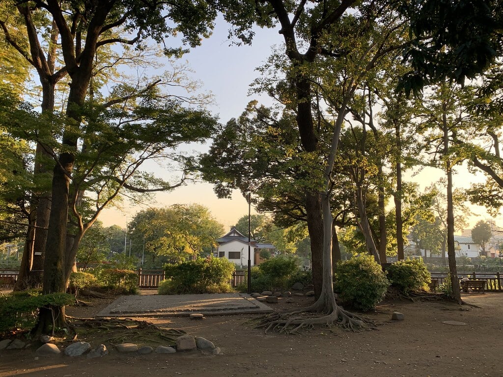 碑文谷公園の写真7