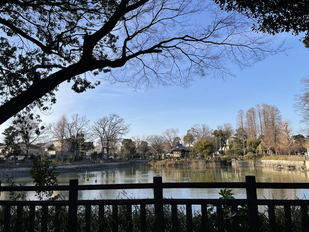 碑文谷公園の写真9