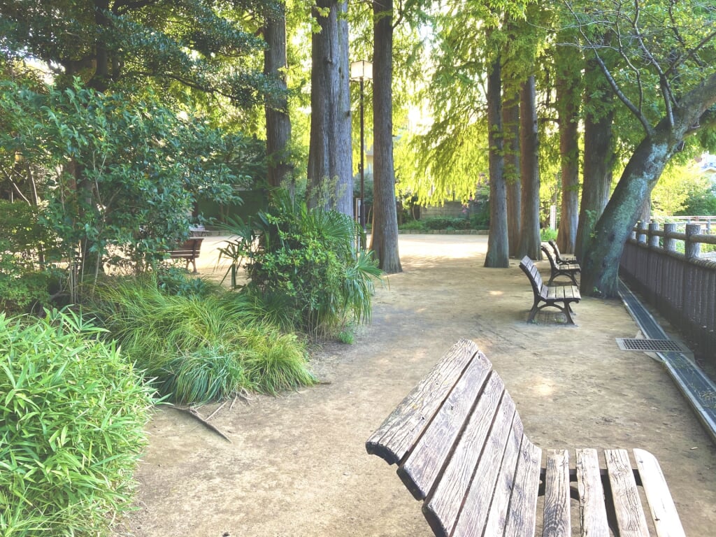 碑文谷公園の写真10