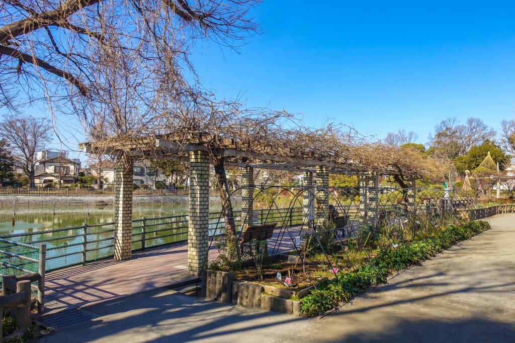 碑文谷公園の写真1