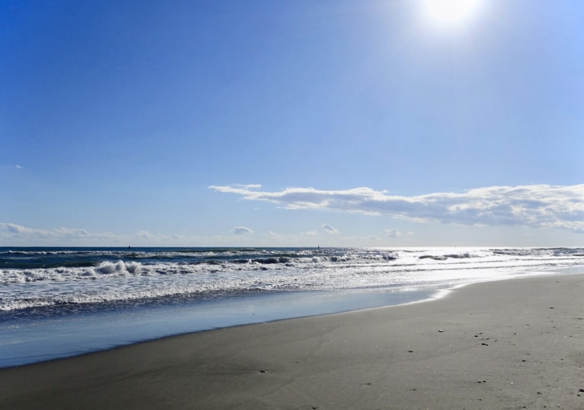 ココナッツビーチ伊良湖(伊良湖海水浴場)の写真1