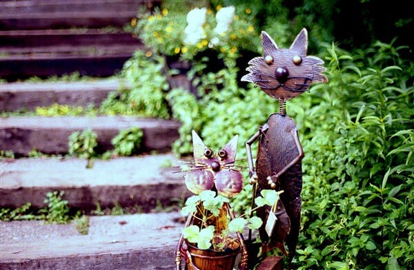 萌木の村の写真4