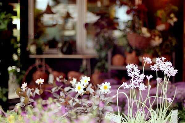 萌木の村の写真6