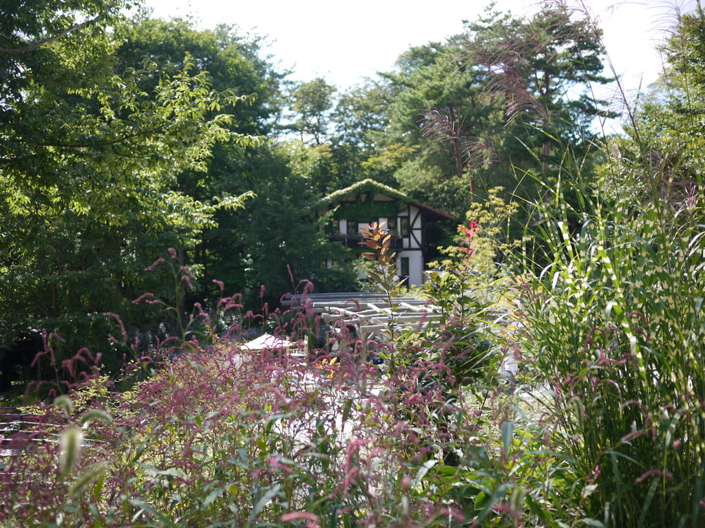 萌木の村の写真7