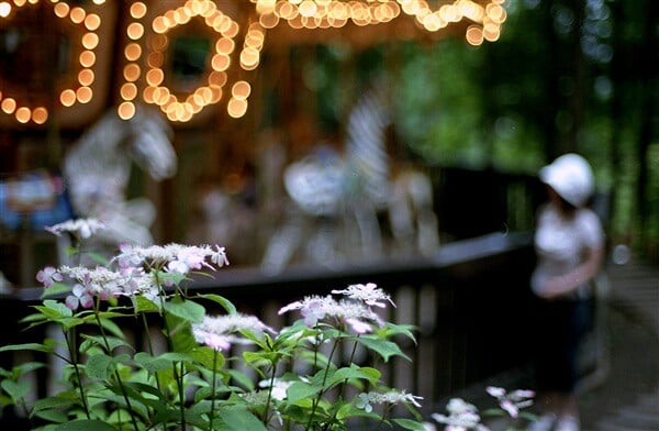 萌木の村の写真10