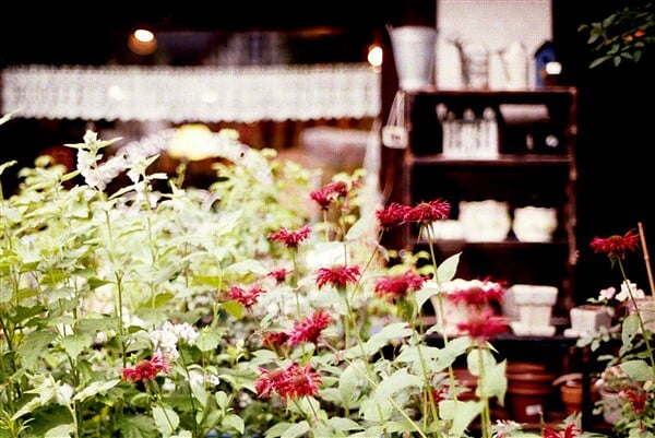 萌木の村の写真11